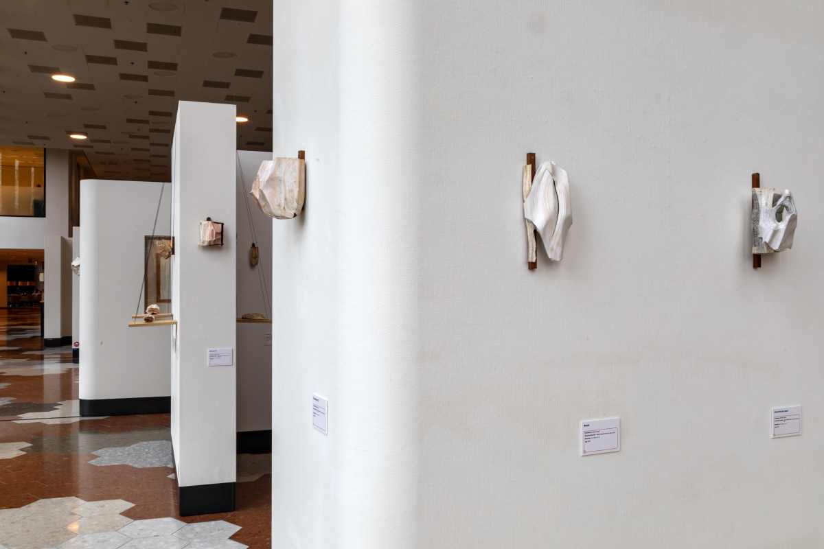 Brigitte-Picavet-Anatomie-van-een-boek-003