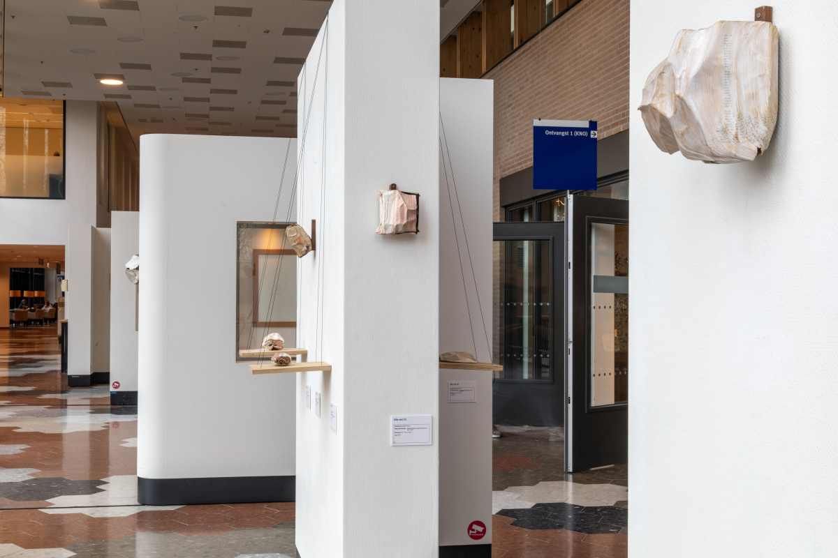 Brigitte-Picavet-Anatomie-van-een-boek-004