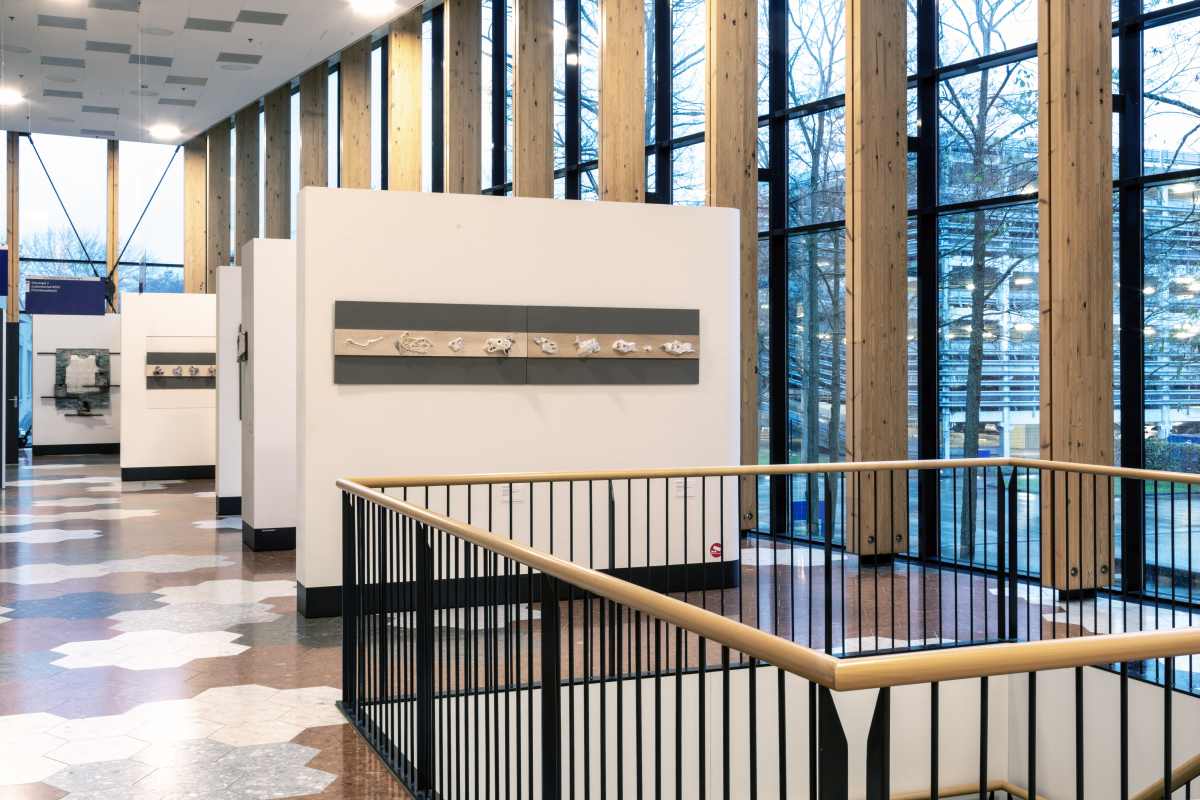 Brigitte-Picavet-Anatomie-van-een-boek-006