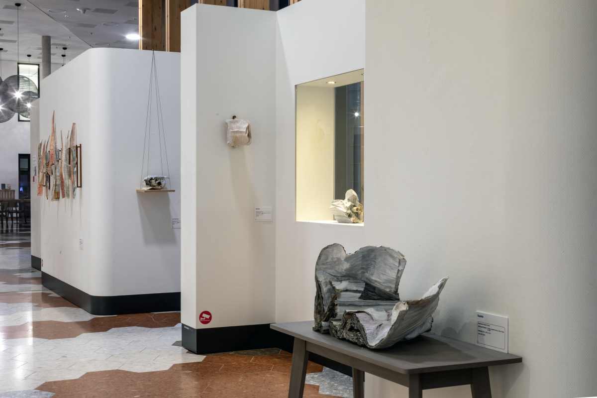 Brigitte-Picavet-Anatomie-van-een-boek-007