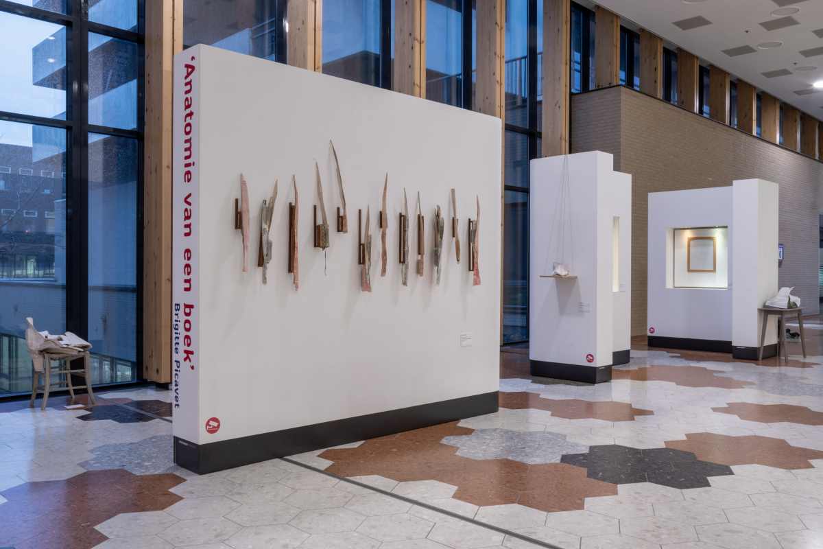 Brigitte-Picavet-Anatomie-van-een-boek-009